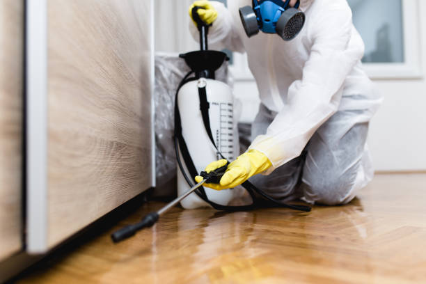 Best Affordable Pest Control Services  in Suisun City, CA