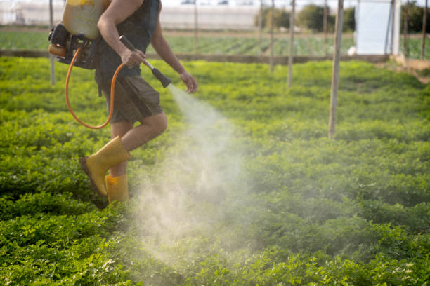 Best Pest Removal Services  in Suisun City, CA