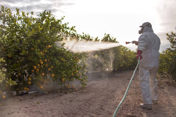 Best Emergency Pest Control  in Suisun City, CA