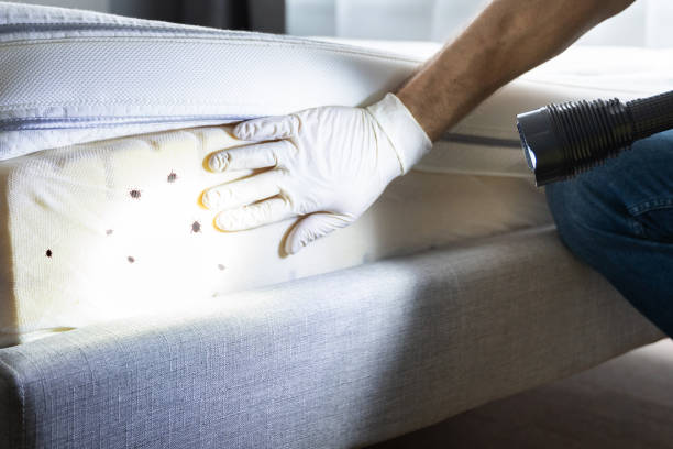 Best Affordable Pest Control Services  in Suisun City, CA