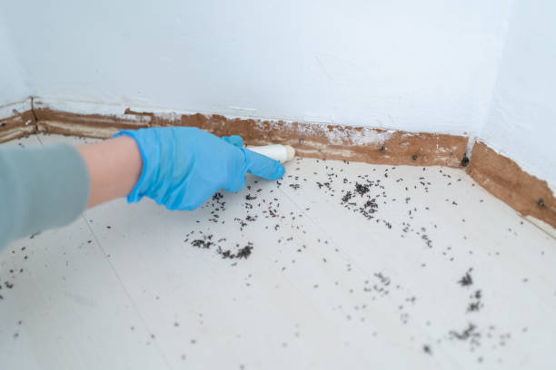 Best Residential Pest Control  in Suisun City, CA